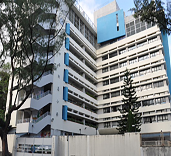 协恩中学附属小学,香港小学,香港插班